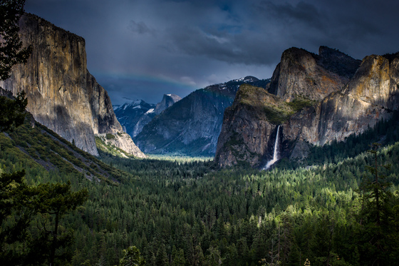 Yosemite National Park
