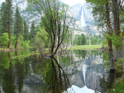 Yosemite National Park