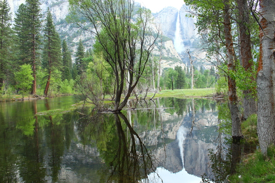 Yosemite National Park
