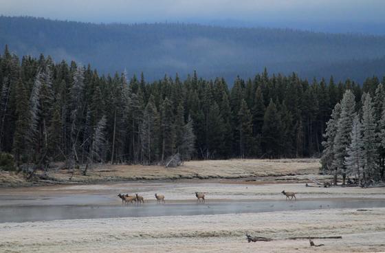 Yellowstone National park