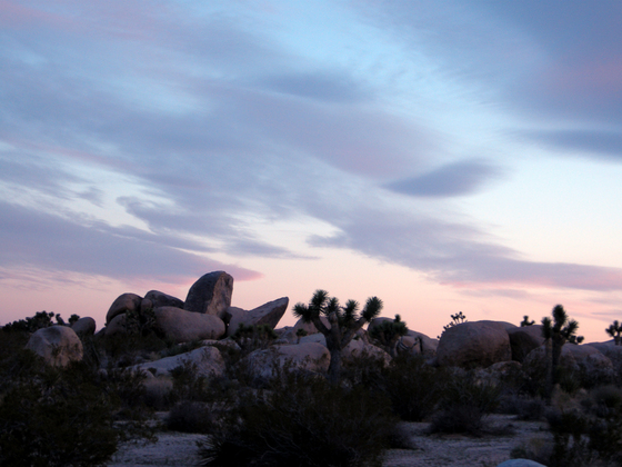 Joshua Tree National Park