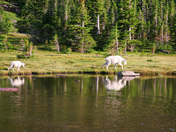 Glacier National Park