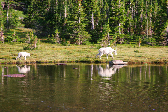 Glacier National Park