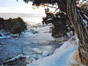 Yellowstone Park