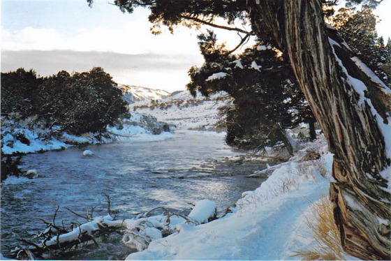 Yellowstone Park