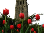 Peace Tower Ottawa