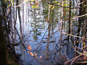 Reflections in Ephemeral Waters