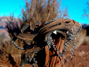Grand Canyon National Park