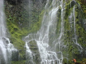 Willamette National Forest