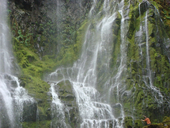 Willamette National Forest