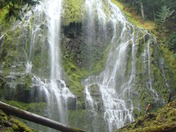 Willamette National Forest