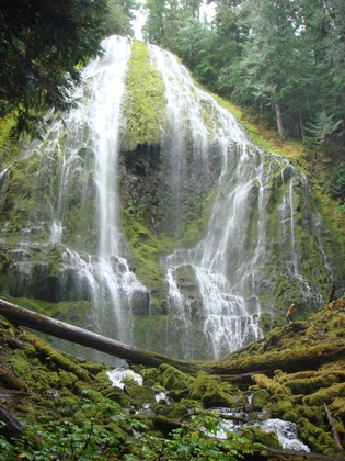 Willamette National Forest