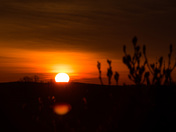 Gettysburg National Battlefield