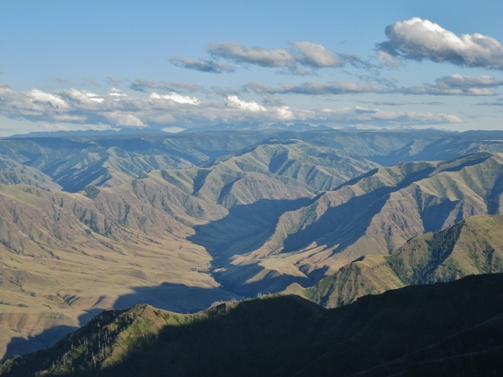 Wallowa Whitman National Forest 