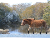 assategue