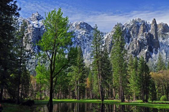 Yosemite National Park