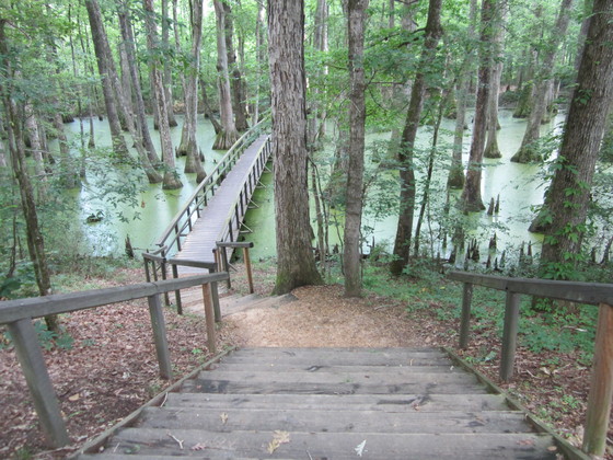 Natchez Trace Parkway