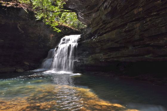 Bankhead National Forest, Sipsey Wilderness