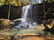 Bankhead National Forest, Sipsey Wilderness