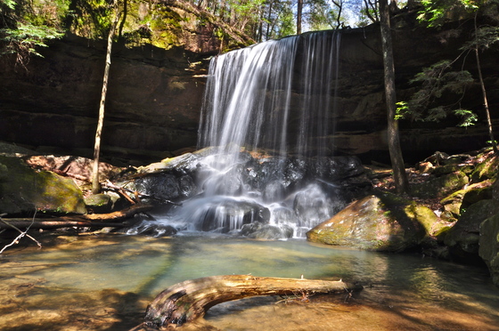 Bankhead National Forest, Sipsey Wilderness