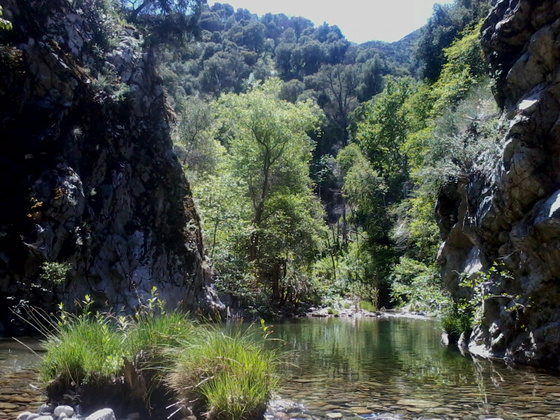 Arroyo Seco Gorge