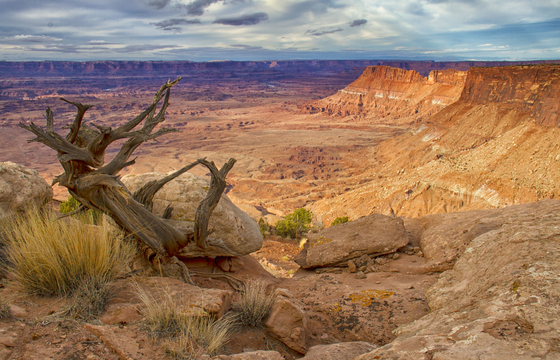 Canyonlands NP