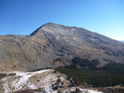 US Forest Service