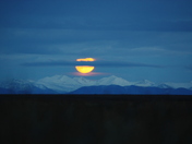Arctic National Wildlife Refuge