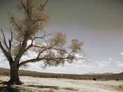 Blackrock Desert