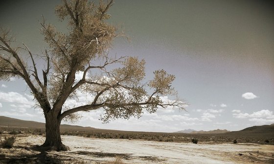 Blackrock Desert