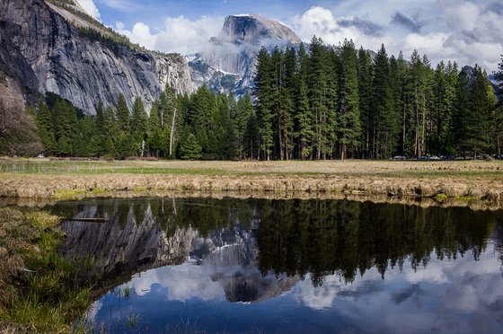 Yosemite National Park