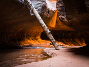 Zion National Park