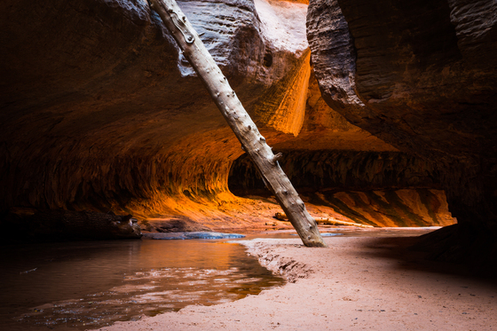 Zion National Park