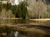 Yosemite National Park