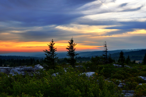 Monongahela National Forest