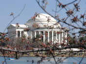 Thomas Jefferson Memorial