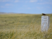 Little Bighorn Battlefield