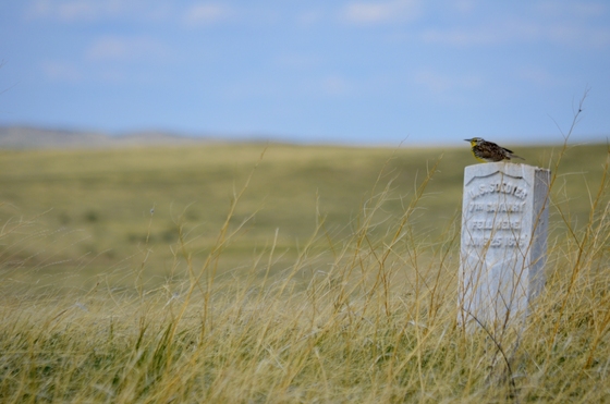 Little Bighorn Battlefield