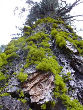 San Bernardino National Forest