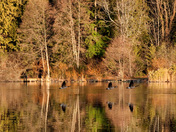 Take flight x's three 