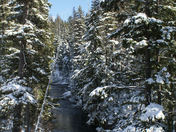 Wenatchee National Forest