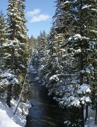Wenatchee National Forest