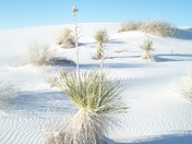 White Sands National Monument