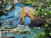 Nagochee Of Silver Islet