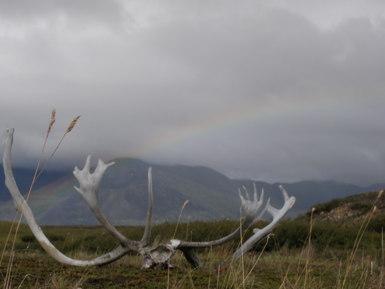 National Petroleum Reserve - Alaska