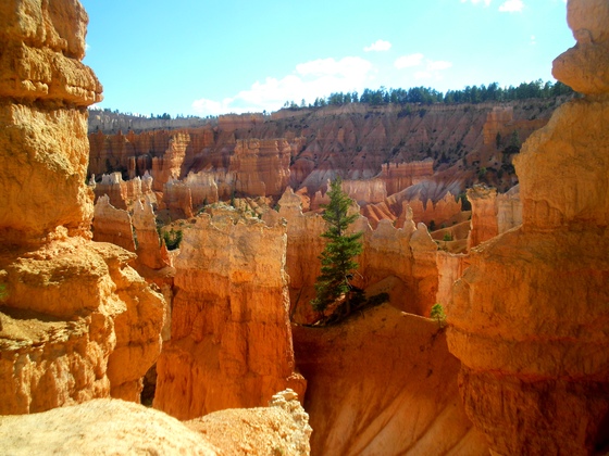 Bryce Canyon 