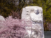 MLK on the National Mall