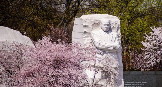 MLK on the National Mall