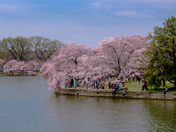 National Mall