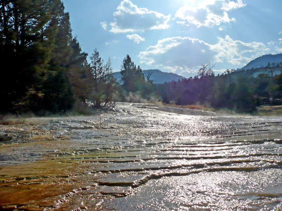 Yellowstone